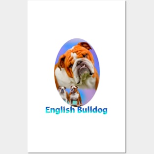 English Bulldog Posters and Art